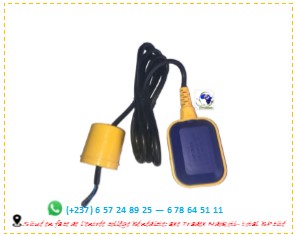 flotteur électrique